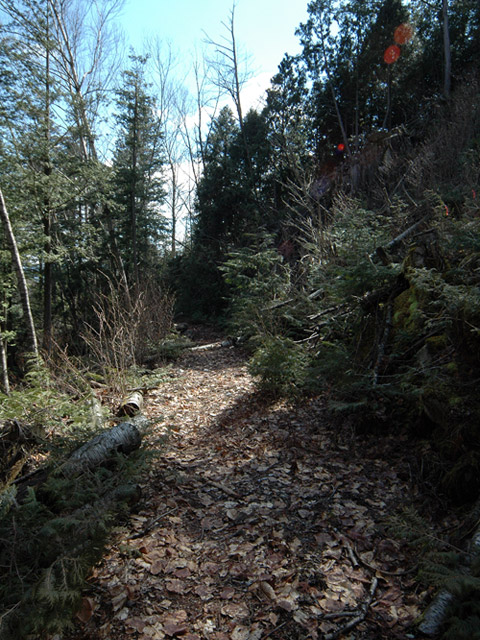 ����X�ѓS��,�ѓS,�p����,�㏼�c�я�,�O����