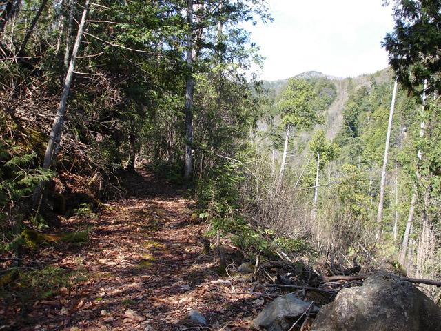 ����X�ѓS��,�ѓS,�p����,�㏼�c�я�,�O����