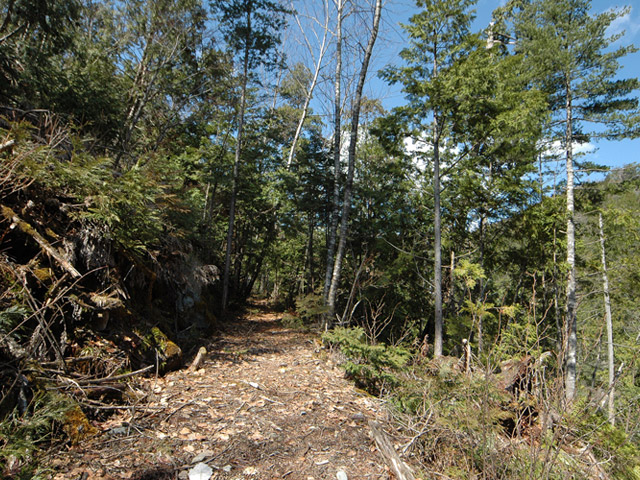 ����X�ѓS��,�ѓS,�p����,�㏼�c�я�,�O����