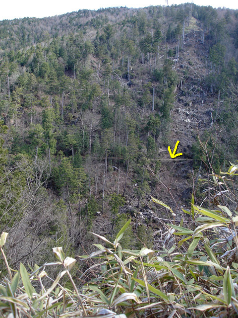 ����X�ѓS��,�ѓS,�p����,�㏼�c�я�,�O����