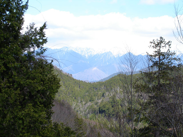 ����X�ѓS��,�ѓS,�p����,�����A���v�X,�O����