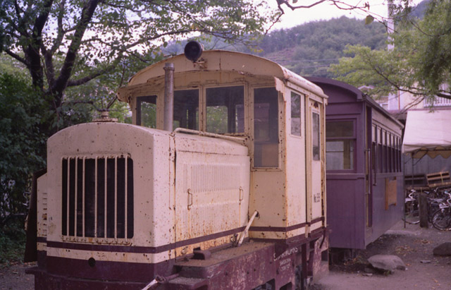 ��������,�㏼�w,���S����,�ݎ�