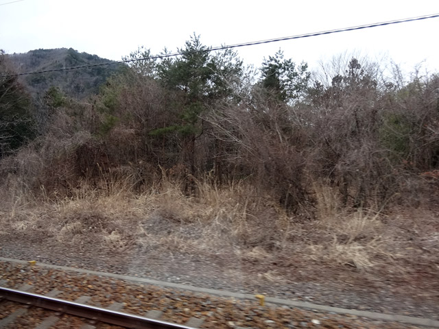 �X�ѓS��,�ѓS,�����؏�,�����؏�,�p����