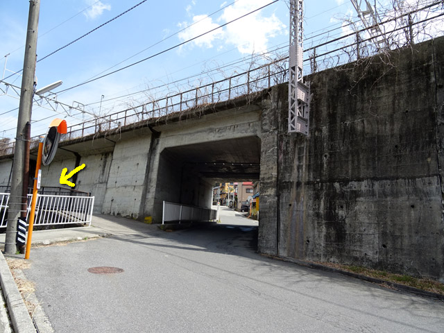 �ؑ]�X�ѓS��,�ѓS,�p����,��������,����₩�E�H�[�L���O,�㏼,��\