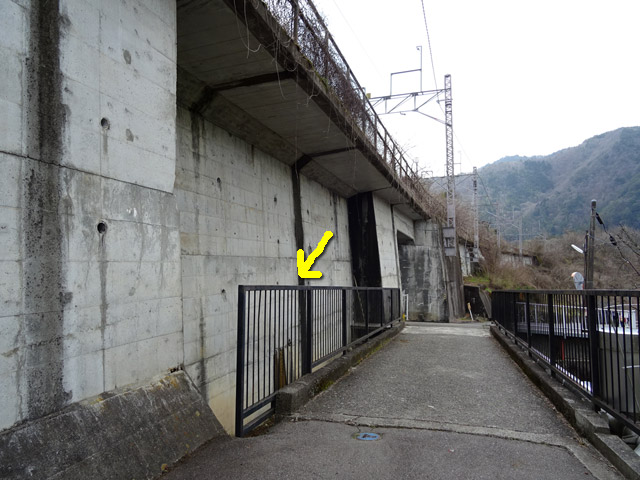 �ؑ]�X�ѓS��,�ѓS,�p����,��������,����₩�E�H�[�L���O,�㏼,��\