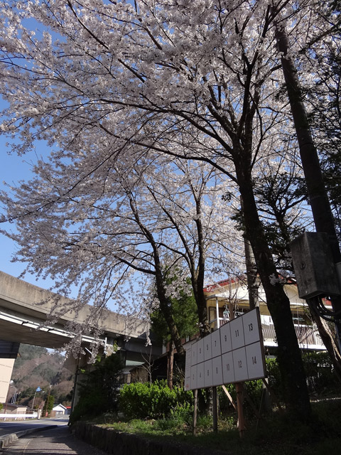 �㏼��ԏ�,����X�ѓS��,����ѓS,�p����,�v���b�g�z�[��,�ؑ]�X,�\���C���V�m