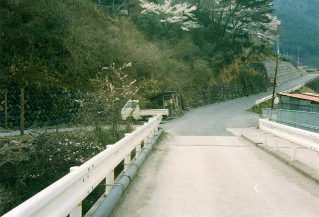 ����X�ѓS��,�p����,�ѓS,�㏼,�ؑ]�싴��,�S����