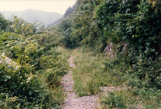 ����X�ѓS��,�ѓS,�p����,�ؑ]�X,�㏼,�O����