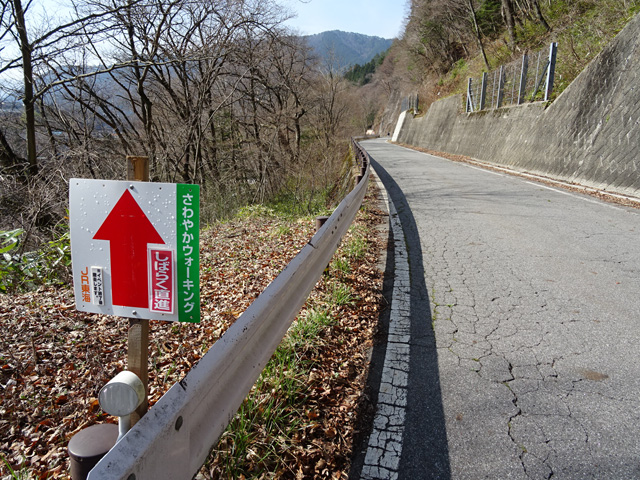 �ؑ]�X�ѓS�������,�ѓS,�p����,����₩�E�H�[�L���O,�ѓ�,�㏼