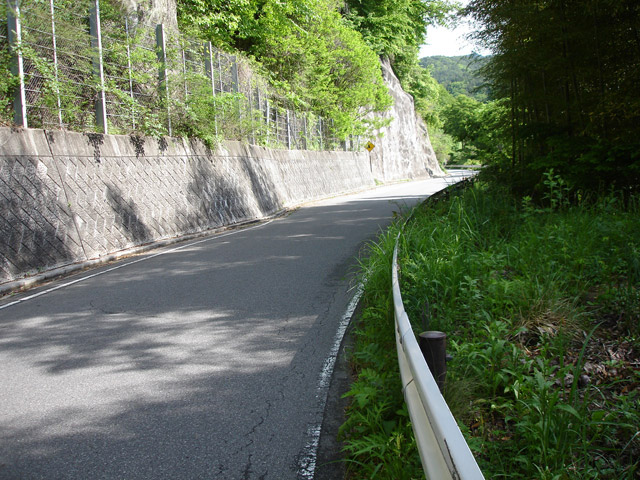 ����X�ѓS��,�ѓS,�p����,��򋴗�,�㏼,�؋�,�S��