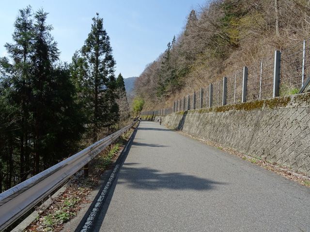 �ؑ]�X�ѓS�������,�ѓS,�p����,����₩�E�H�[�L���O,�ѓ��䃖����,�㏼