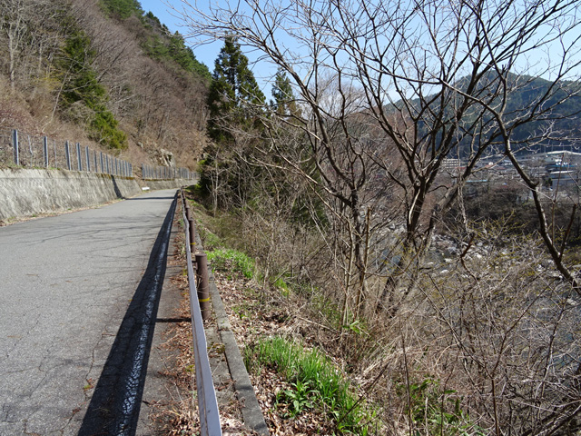 �ؑ]�X�ѓS�������,�ѓS,�p����,����₩�E�H�[�L���O,�ѓ��䃖����,�㏼