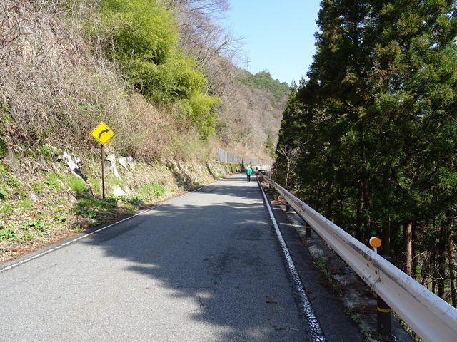 ����X�ѓS��,�ѓS,�p����,�ѓ��䃖����,�㏼