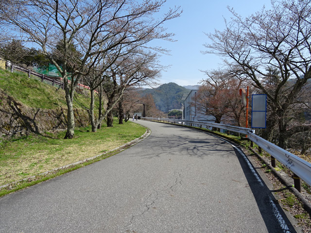 �ؑ]�X�ѓS�������,�ѓS,�p����,����₩�E�H�[�L���O,�ѓ��䃖����,�㏼