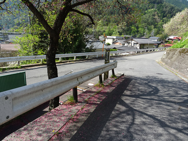 ����X�ѓS��,�ѓS,�k���ԏ�,�p����,��_�ϑ�,���̎ʐ^,��r�ʐ^