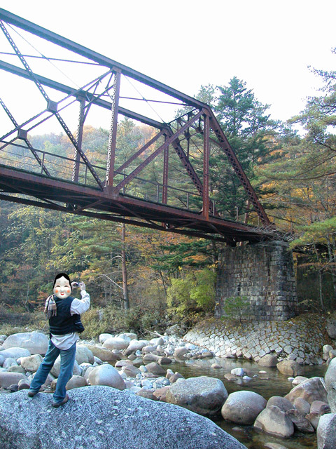 ����X�ѓS��,�ѓS,�p����,�p��,���c�싴��,�v���b�g�g���X,���͋������쏊