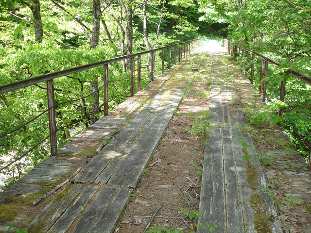 ���ꏬ��X�ѓS��,�ѓS,�p����,�ؑ]�싴��,�S���S��,��\