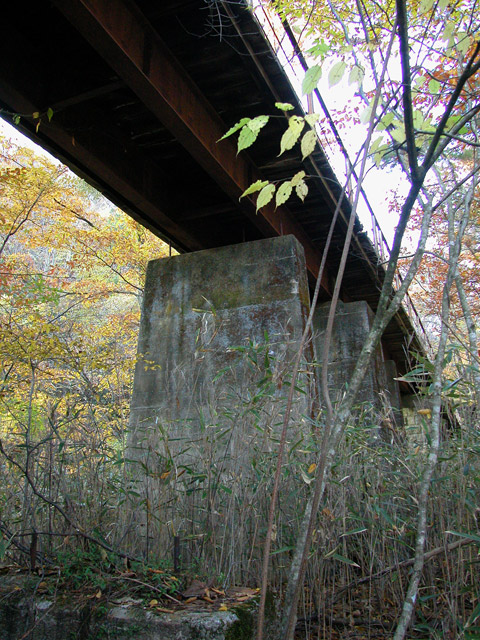 ����X�ѓS��,�ѓS,�p����,�p��,���c�싴��,�v���[�g�K�[�_�[,�؋�,�s�A