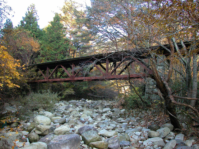 ����X�ѓS��,�ѓS,�p����,�p��,���c�싴��,�f�b�L�g���X,��|�\��