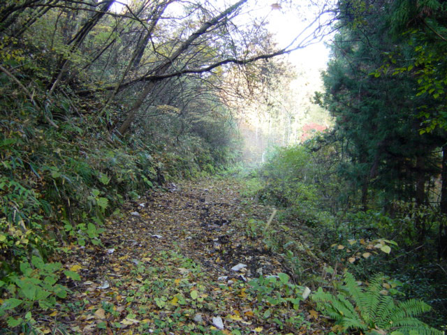 ����X�ѓS��,�ѓS,�p����,�O����,�㏼�^�A�c�я�,�ؑ]�X