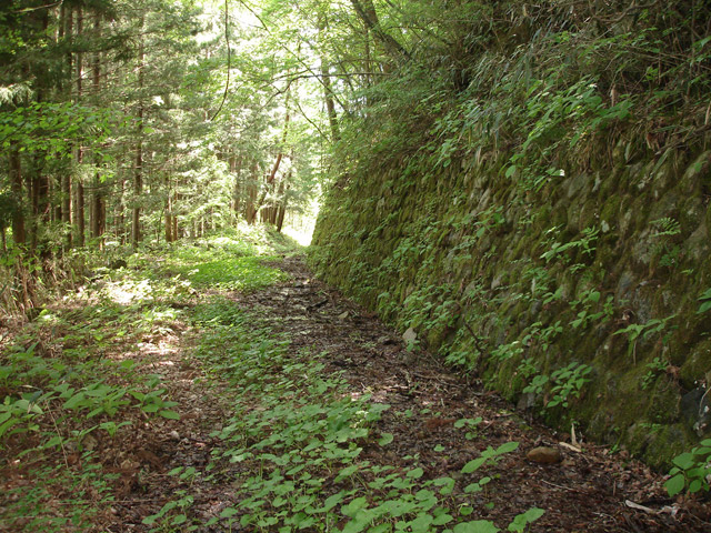 ����X�ѓS��,�ѓS,�p����,�O����,�㏼�^�A�c�я�,�p��