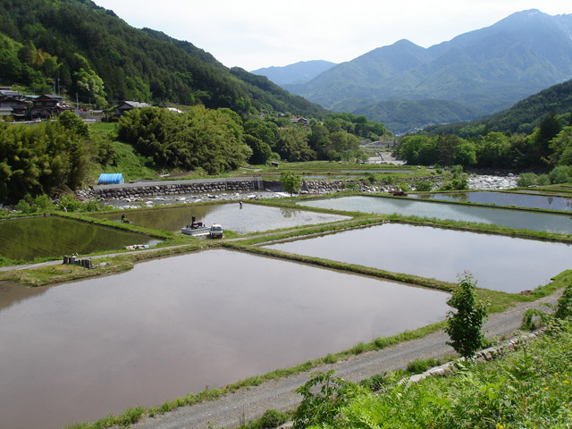 ����X�ѓS��,�ѓS,�p����,�O����,���₵�̕��i,�c�A��,�㏼��