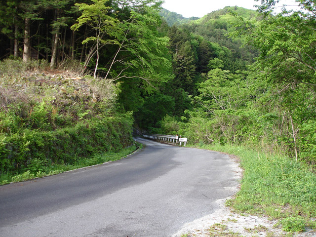 ����X�ѓS��,�ѓS,�p����,�O����,�ѓ��唨��,�㏼�^�A�c�я�