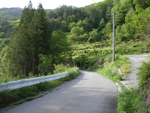 ����X�ѓS��,�ѓS,�p����,�O����,���q�򋴗�,�㏼�^�A�c�я�,�ؑ]�X