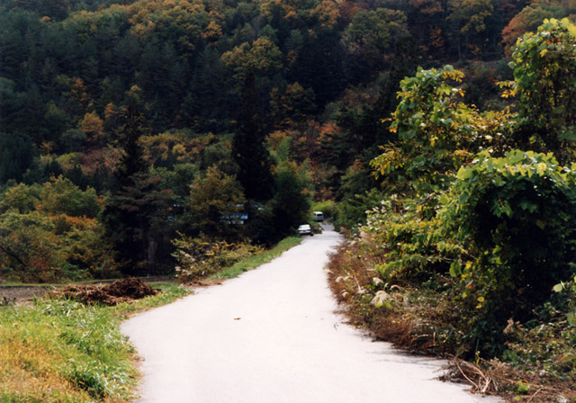 ����X�ѓS��,�ѓS,�p����,�O����,���q���ԏ�,�㏼�^�A�c�я�,�ؑ]�X