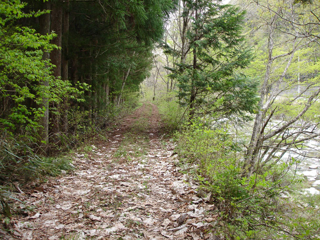 ����X�ѓS��,�ѓS,�p����,�O����,�㏼�^�A�c�я�,�ؑ]