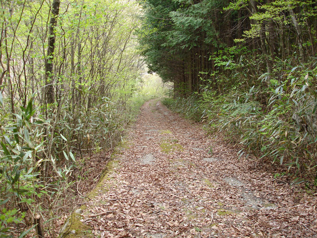 ����X�ѓS��,�ѓS,�p����,�O����,����,�ؑ]