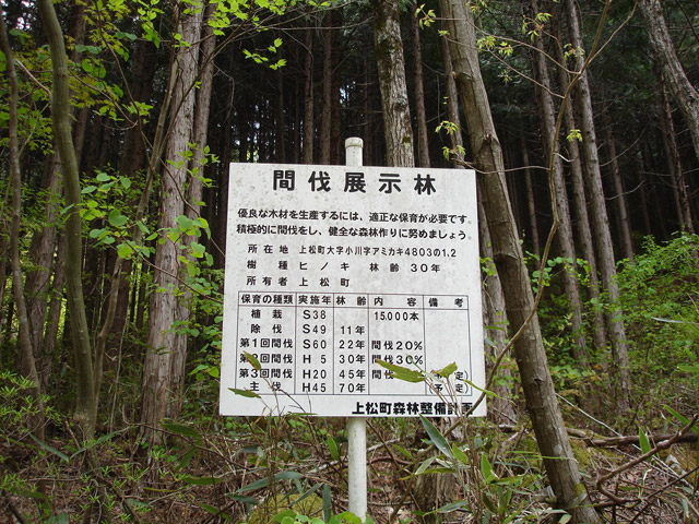 ����X�ѓS��,�ѓS,�p����,�O����,�Ԕ��W����,�ؑ]�q�m�L