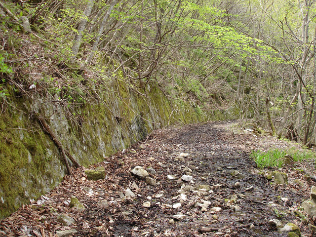 ����X�ѓS��,�ѓS,�p����,�O����,����,�H��,���n��