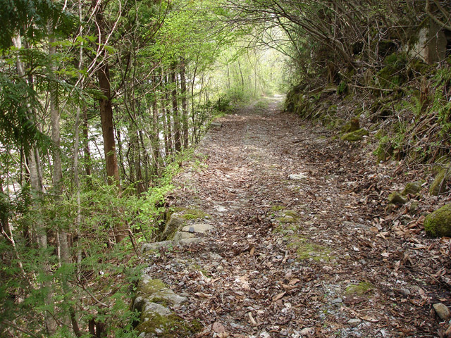 ����X�ѓS��,�ѓS,�p����,�O����,����,�H��,���n��