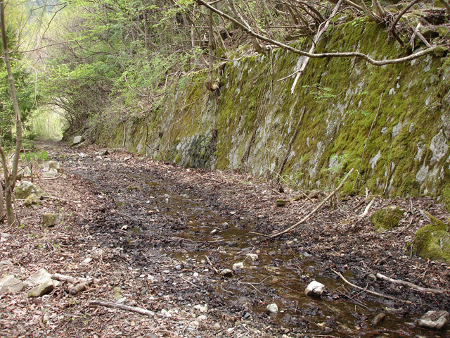 ����X�ѓS��,�ѓS,�p����,�O����,����,�H��,�Ί_