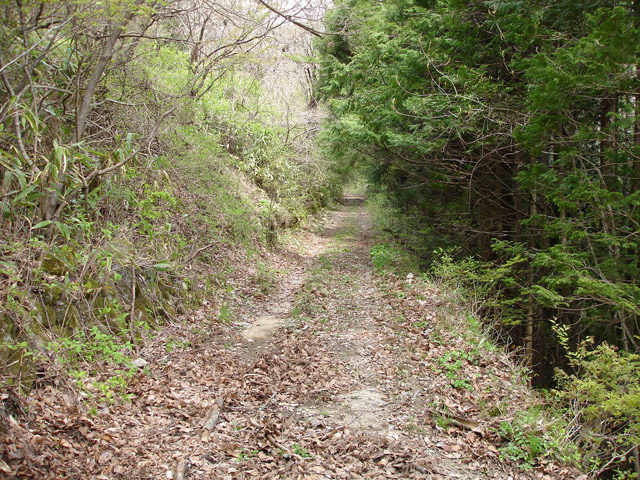 ����X�ѓS��,�ѓS,�p����,�O����,�㏼�^�A�c�я�,�ؑ]�X