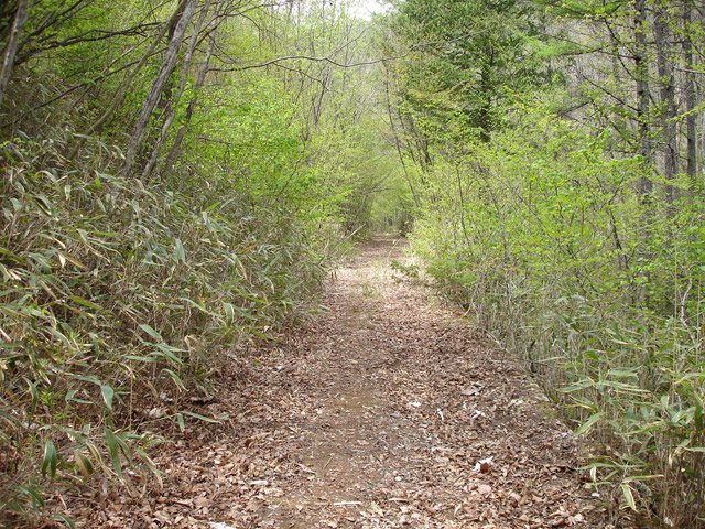 ����X�ѓS��,�ѓS,�p����,�O����,�㏼�^�A�c�я�,�ؑ]�X