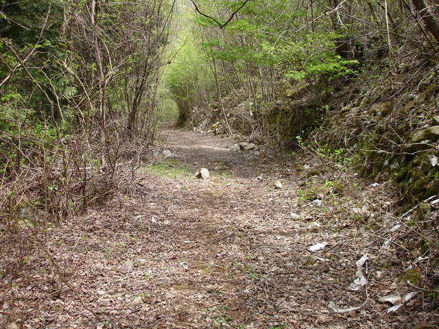 ����X�ѓS��,�ѓS,�p����,�O����,�㏼�^�A�c�я�,�ؑ]�X