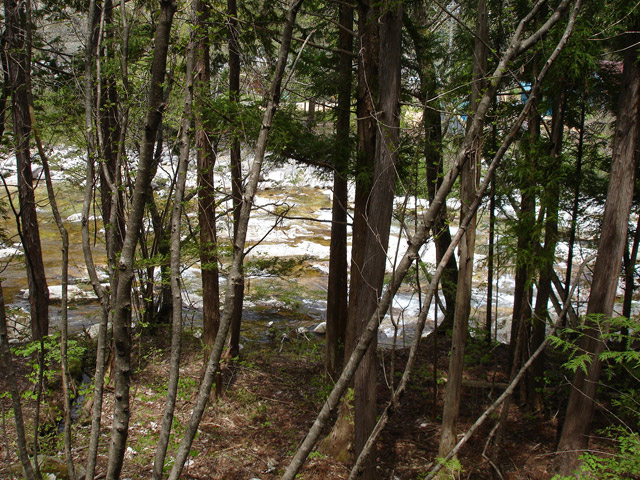 ����X�ѓS��,�ѓS,�p����,�O����,�k��,�ؑ]�X