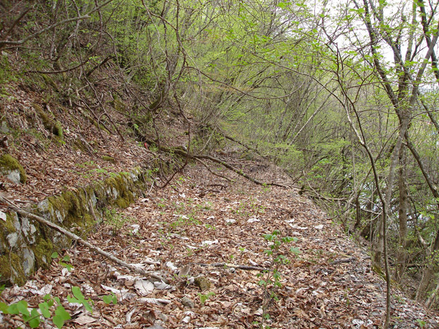 ����X�ѓS��,�ѓS,�p����,�O����,�㏼�^�A�c�я�,�ؑ]�X