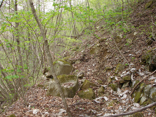 ����X�ѓS��,�ѓS,�p����,�O����,�㏼�^�A�c�я�,�ؑ]�X