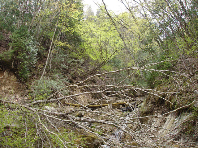 ����X�ѓS��,�ѓS,�p����,�O����,�����싴��,�k��,�y�Η�,�㏼