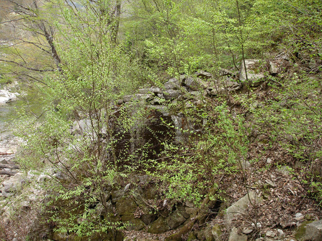 ����X�ѓS��,�ѓS,�p����,�O����,���r,�����싴��,����