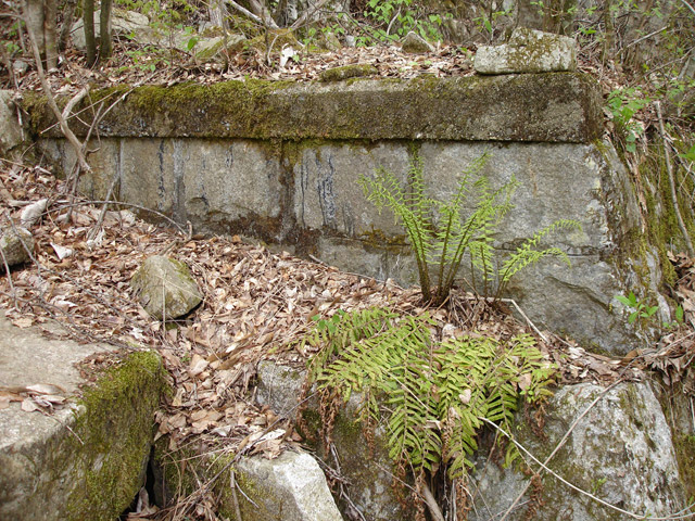 ����X�ѓS��,�ѓS,�p����,�O����,�����싴��,����,�֒m�ΐ�