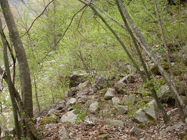 ����X�ѓS��,�ѓS,�p����,�O����,����,�����싴��,�㏼�^�A�c�я�