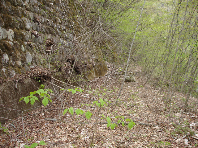 ����X�ѓS��,�ѓS,�p����,�O����,�㏼�^�A�c�я�,�ؑ]