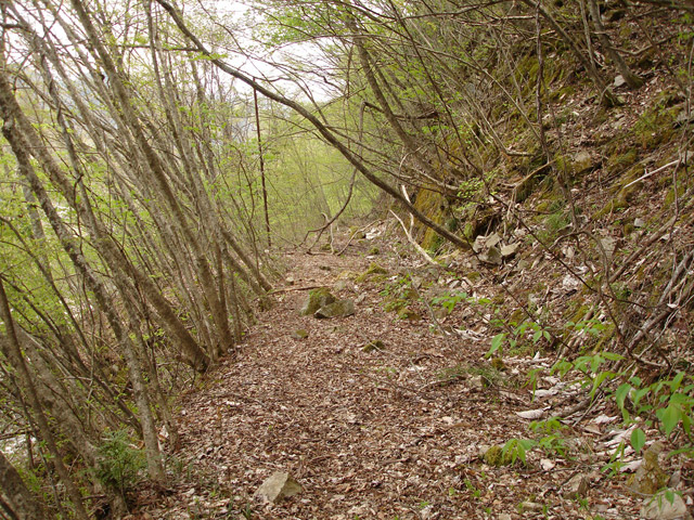 ����X�ѓS��,�ѓS,�p����,�O����,�㏼�^�A�c�я�,�ؑ]