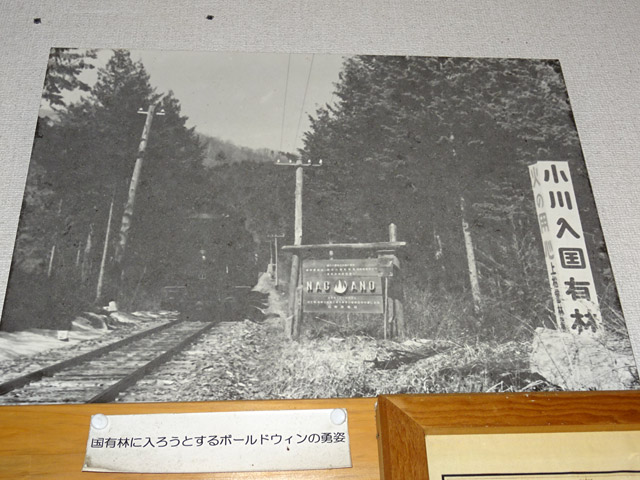 ����X�ѓS��,�ѓS,�{�[���h�E�B�����C�@�֎�,�^�ޗ��,���L��,�ؑ]�X