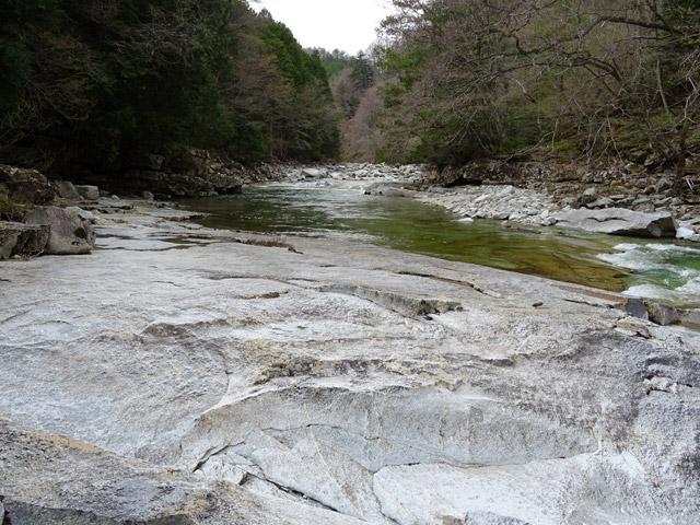 �ؑ]�X�ѓS�������,�ѓS,�p����,�k��,���J��,������,�܂Ȃ�����,�㏼��