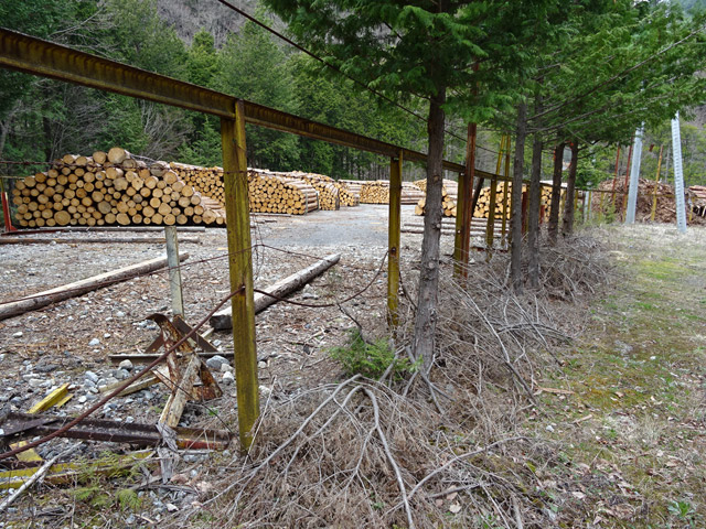 �ؑ]�X�ѓS�������,�ѓS,�p����,�č��y��,�ؑ]�q�m�L,���؏�,�㏼��